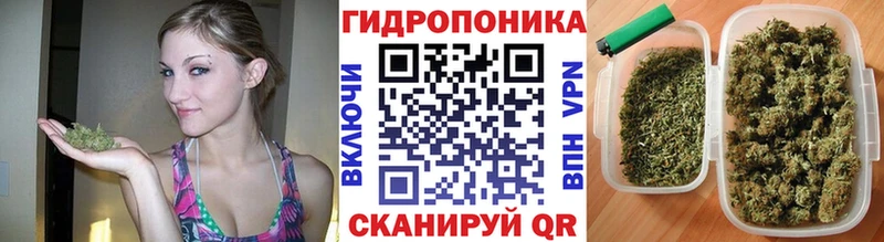 МЕФ Козьмодемьянск