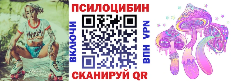 Псилоцибиновые грибы Psilocybe  Козьмодемьянск 